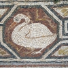 Zdjęcie z Macedonii - Heraclea - fragment mozaiki podłogowej.