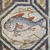 Zdjęcie z Macedonii - Heraclea - fragment mozaiki podłogowej.