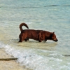 Zdjęcie z Tajlandii - KOH LIPE