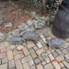 Zdjęcie z Barbadosu - 