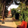 Zdjęcie z Albanii - Berat - skwer/park miejski.