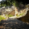 Zdjęcie z Albanii - Butrint - tajemnice "dżungli".