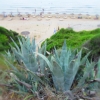 Zdjęcie z Grecji - Gerakas beach