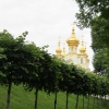 Zdjęcie z Rosji - Petersburg - Peterhof