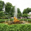 Zdjęcie z Rosji - Petersburg - Peterhof