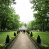 Zdjęcie z Rosji - Petersburg - Peterhof