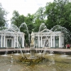 Zdjęcie z Rosji - Petersburg - Peterhof