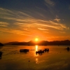 Zdjęcie z Malezji - LANGKAWI
