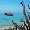Zdjęcie z Tajlandii - KOH LIPE