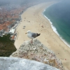 Zdjęcie z Hiszpanii - plaża w Nazare