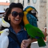 Zdjęcie z Chorwacji - DUBROVNIK
