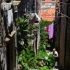 Zdjęcie z Chorwacji - DUBROVNIK