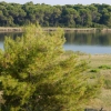 Zdjęcie z Grecji - Jezioro Koukounaries