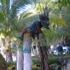 Zdjęcie z Meksyku - Puerto Vallarta
