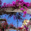 Zdjęcie z Hiszpanii - Puerto de Mogan