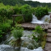 Zdjęcie z Chorwacji - PLITWICKIE JEZIORA