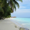 Zdjęcie z Malediw - vilamendhoo
