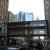 Zdjęcie z Kanady - Calgary