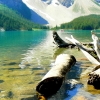 Zdjęcie z Kanady - Moraine Lake
