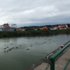 Zdjęcie z Polski - 