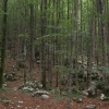 Zdjęcie ze Słowenii - Triglavski Park Narodowy
