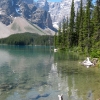 Zdjęcie z Kanady - Moraine Lake