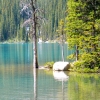 Zdjęcie z Kanady - Moraine Lake