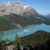 Zdjęcie z Kanady - Peyto Lake