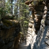 Zdjęcie z Kanady - Athabasca Falls
