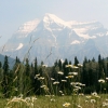 Zdjęcie z Kanady - Mt Robson