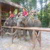 Zdjęcie z Tajlandii - Khao Sok, trekking na sloniach