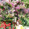Zdjęcie z Kanady - Butchart Gardens