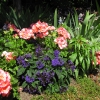 Zdjęcie z Kanady - Butchart Gardens
