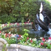 Zdjęcie z Kanady - Butchart Gardens