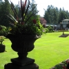 Zdjęcie z Kanady - Butchart Gardens