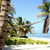 Zdjęcie z Meksyku - Tulum-tuz za hotelem 