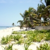 Zdjęcie z Meksyku - Tulum
