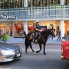 Zdjęcie ze Stanów Zjednoczonych - New York