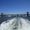 Zdjęcie ze Stanów Zjednoczonych - New York
