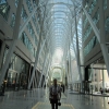 Zdjęcie z Kanady - Toronto