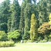 Zdjęcie z Kanady - Vancouver