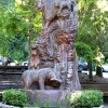Zdjęcie z Kanady - Vancouver