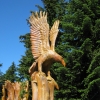 Zdjęcie z Kanady - Grouse Mountain