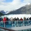 Zdjęcie ze Stanów Zjednoczonych - Glacier Bay