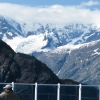 Zdjęcie ze Stanów Zjednoczonych - Glacier Bay