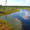 Zdjęcie z Łotwy - Large Kemeri Moorland.