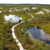 Zdjęcie z Łotwy - Large Kemeri Moorland - panoramka z wieży widokowej.