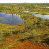 Zdjęcie z Łotwy - Large Kemeri Moorland - gra kolorów.