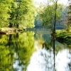 Zdjęcie z Polski - park w Arkadii