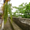 Zdjęcie z Kostaryki - PUERTO LIMON Kostaryka